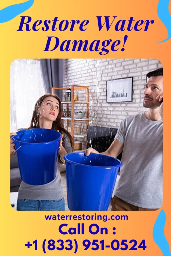 water restoration Patriot Water Repair Professionals Stockville