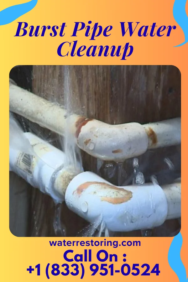 Burst Pipe Water Cleanup in Stockville, NE