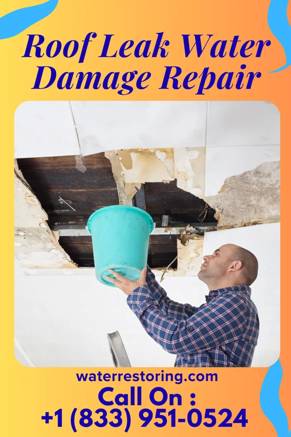 Roof Leak Water Damage Repair in Stockville, NE