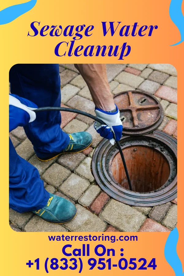 Sewage Water Cleanup in Stockville, NE